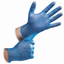 Vinyl Disposable Blue Gloves, Large, Powder Free (10x100)