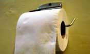 Standard 2ply Toilet Rolls, 320 Sheet  (36 Rolls)