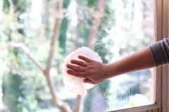 Glass Cleaner