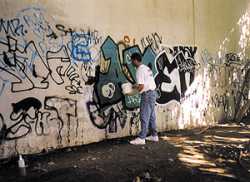 Graffiti Remover