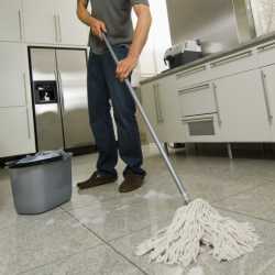 Mops