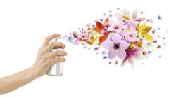 Air Fresheners & Deodorisers
